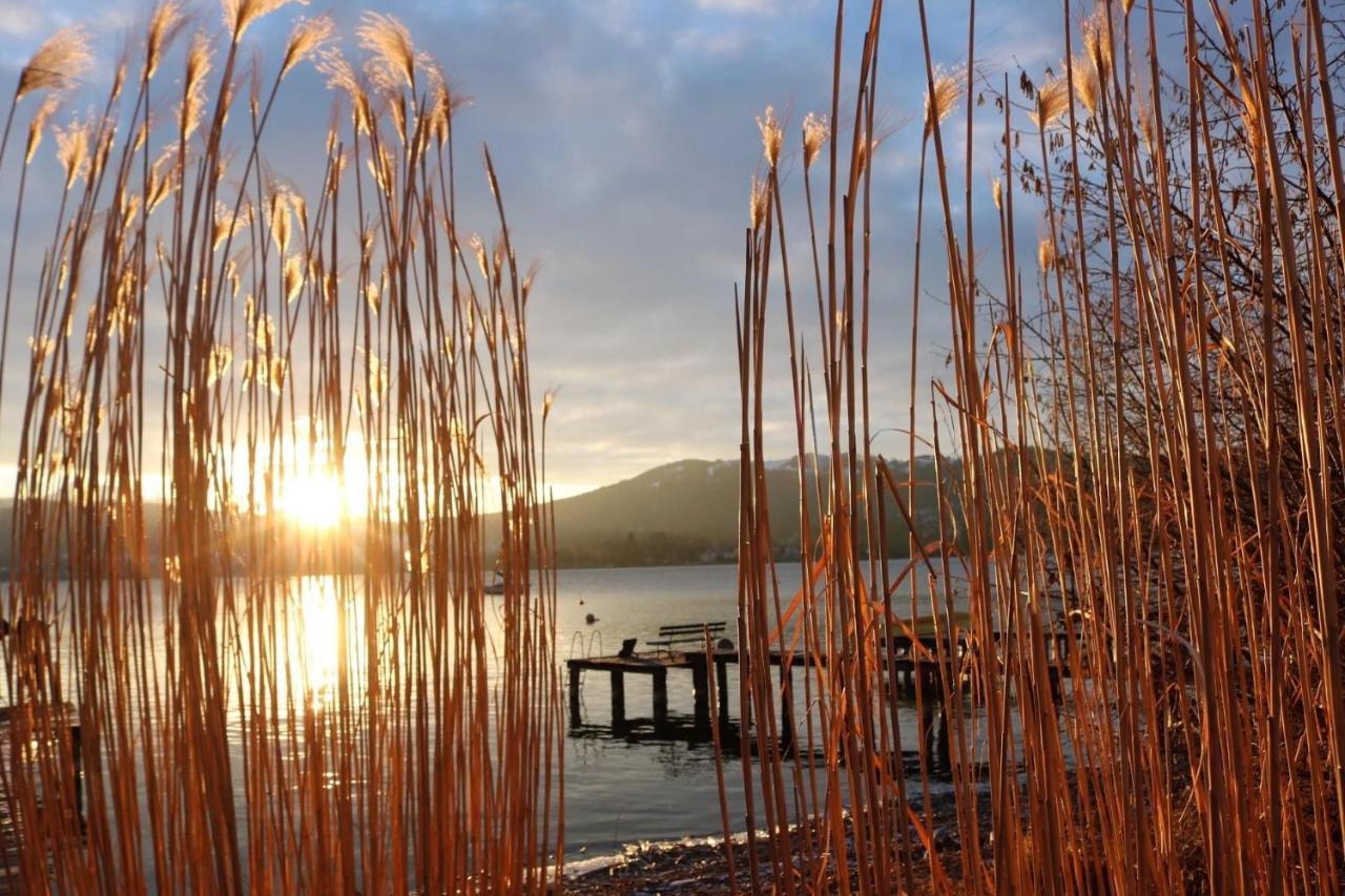 Ferienhaeuschen Am Traunsee Mit Tretboot Zur Freien Nutzung Am Badeplatz Altmünster Exterior foto